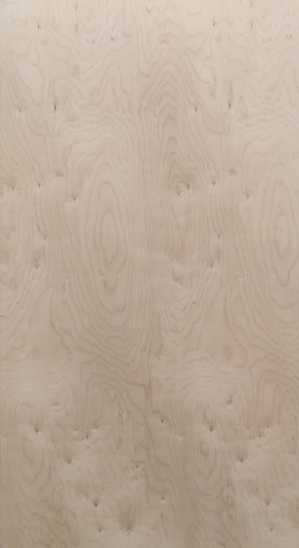 Russian Birch