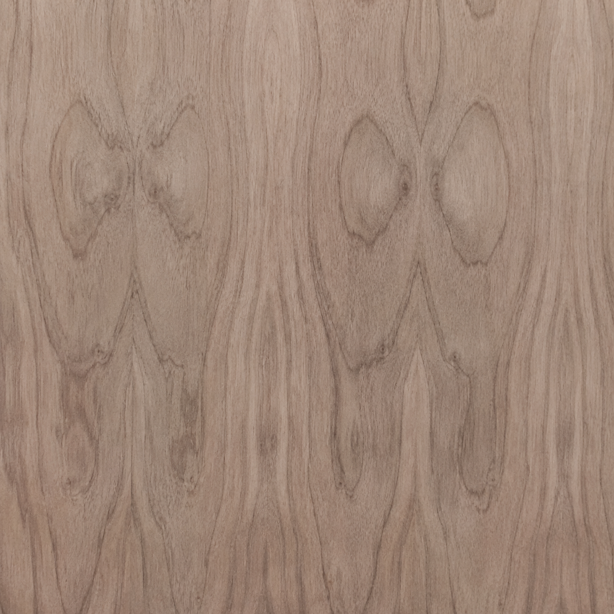 Veta natural de Enchapado Tzalam para muebles elegantes y paneles decorativos