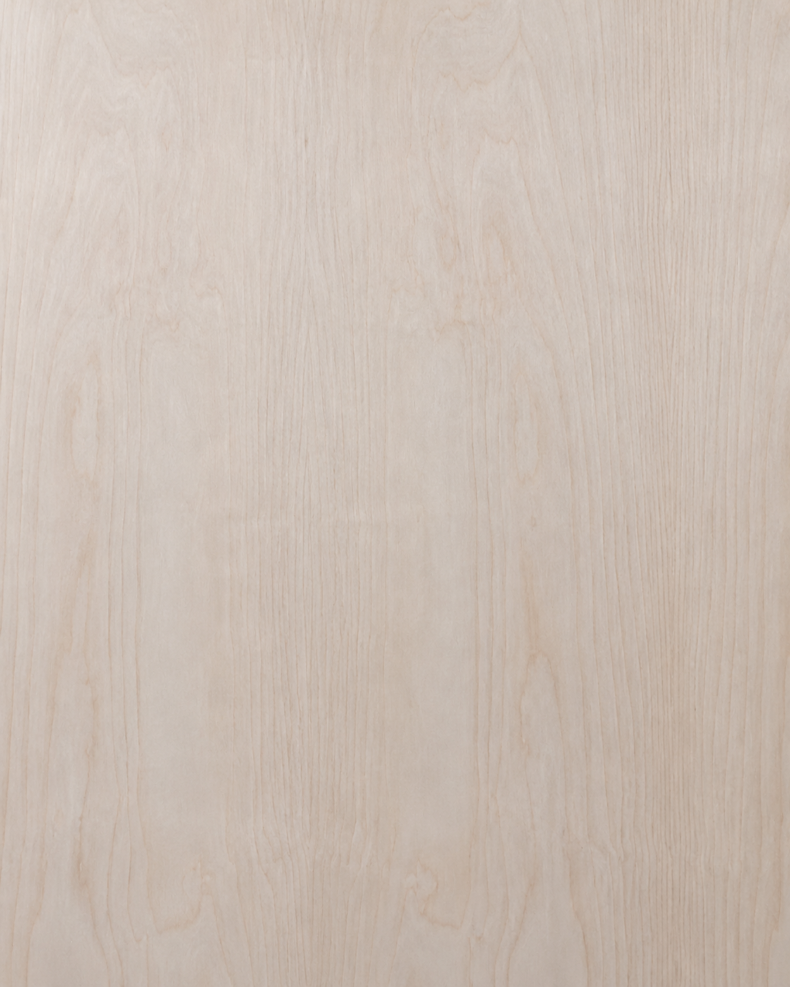 Veta natural de Chapa Birch para muebles, carpintería e interiorismo