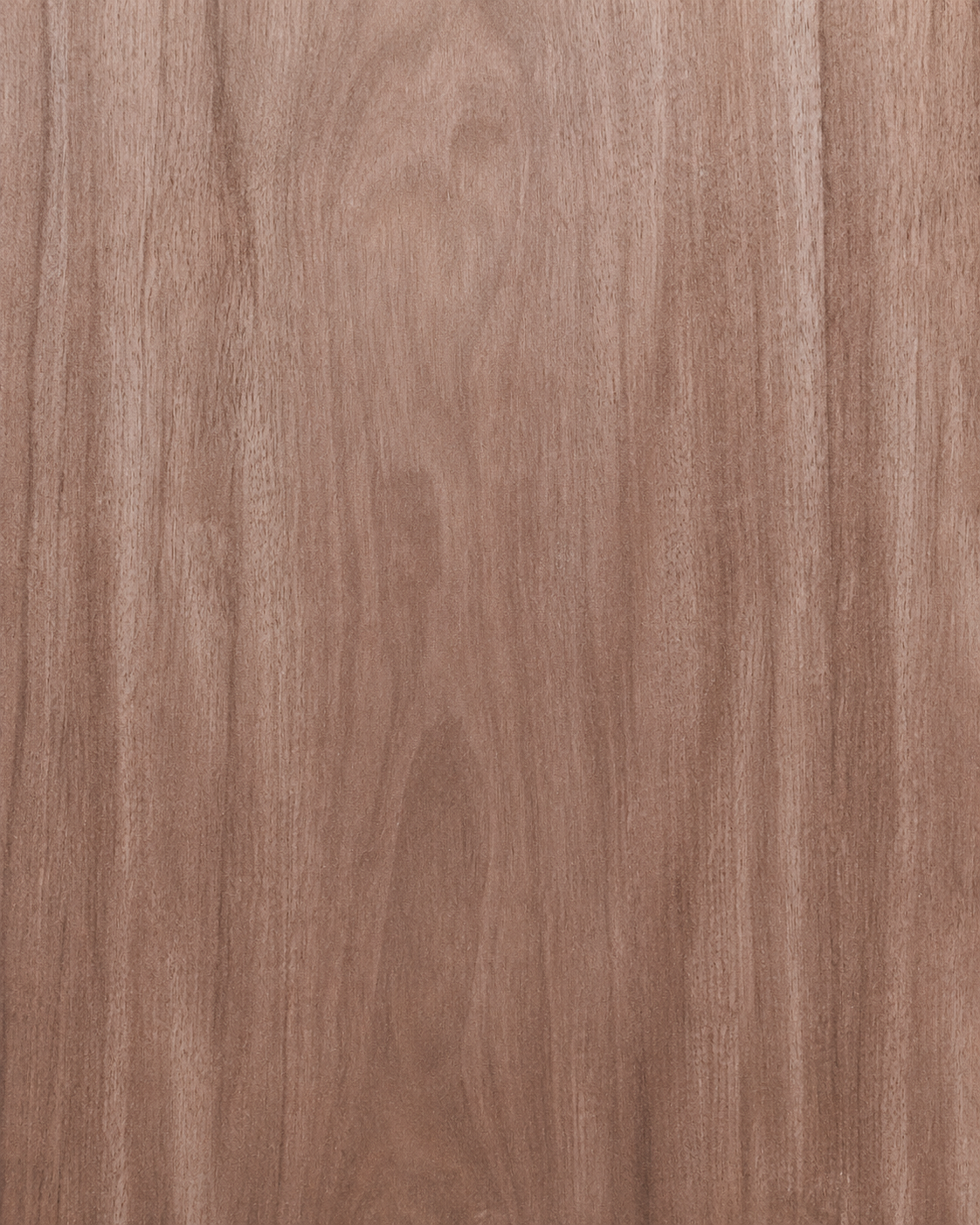 Veta natural de Chapa Caoba para muebles, carpintería fina e interiorismo