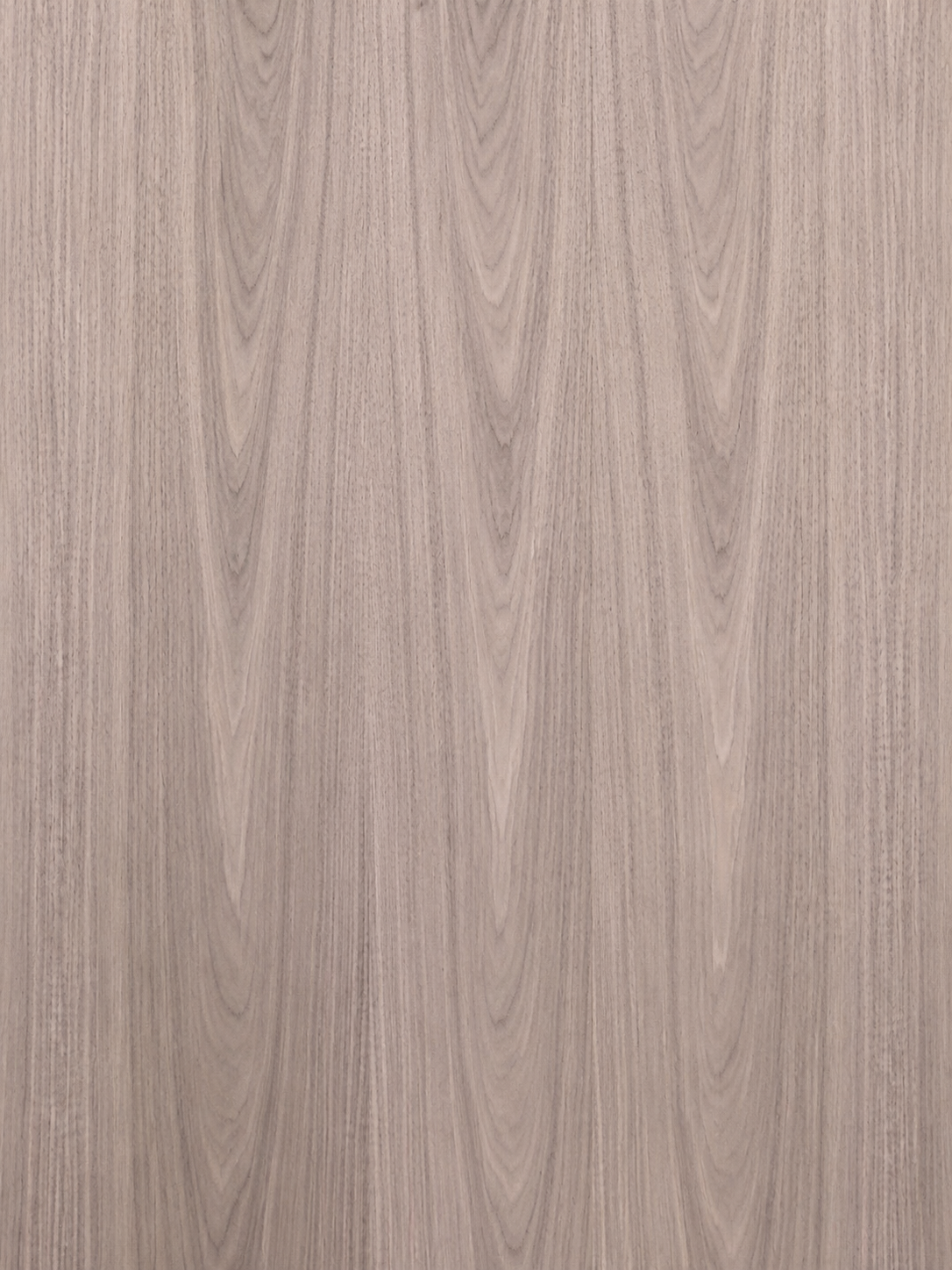 Veta natural de Enchapado Nogal para muebles elegantes y paneles decorativos