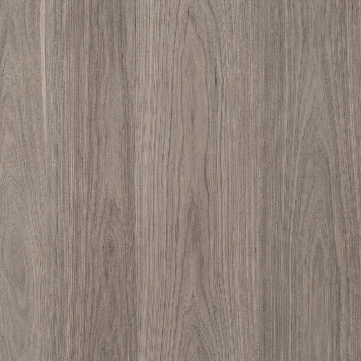 Veta natural de Enchapado Nogal Desempatado para muebles elegantes y paneles decorativos