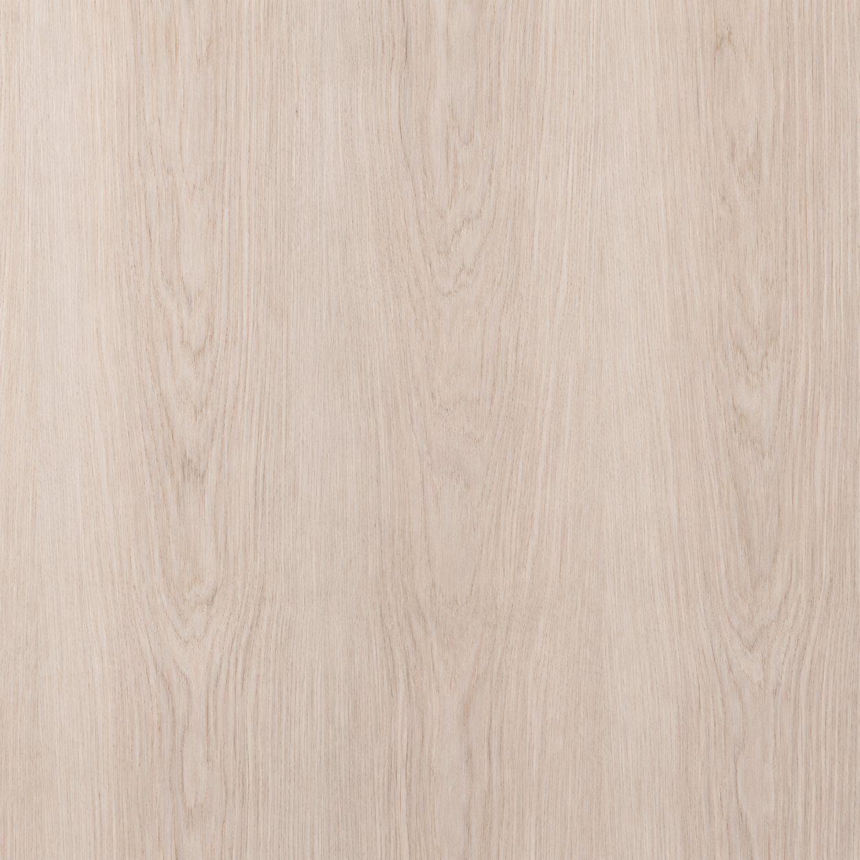 Veta natural de Enchapado Roble para muebles elegantes y paneles decorativos