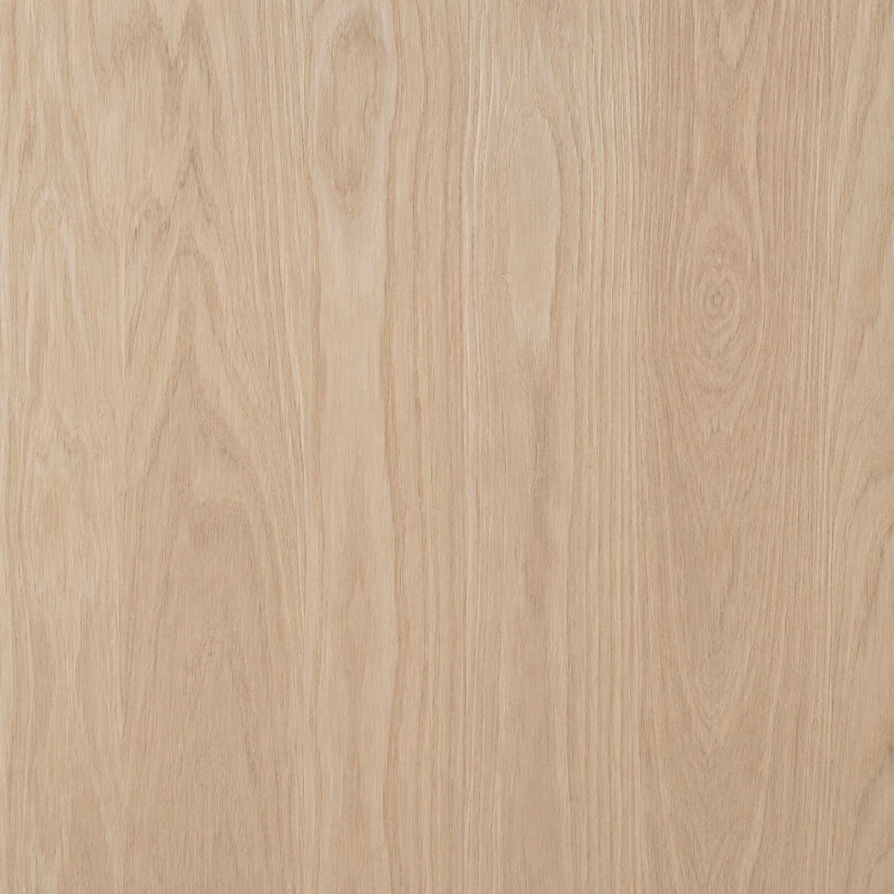 Veta natural de Enchapado Roble Desempatado para muebles elegantes y paneles decorativos